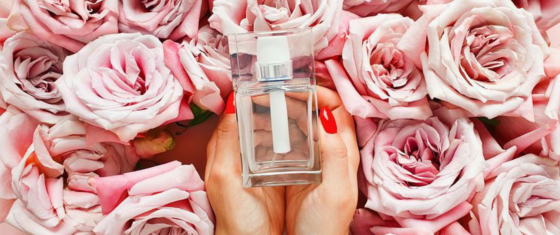 En Güzel Gül Kokulu Parfüm Önerileri